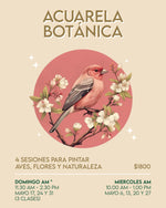 Load image into Gallery viewer, 🎨 Acuarela Intermedio ✨ Aves y Naturaleza con @ charlespaper · INICIA 6 Y 17 de MAYO
