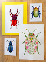 Cargar imagen en el visor de la galería, 🎨 Taller de Acuarela 🌸🐞Insectos y Flores con @ charlespaper 🐞🌼 · INICIA Febrero 15, 16 o 18 de Feb
