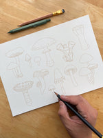 Cargar imagen en el visor de la galería, 🎨 Taller de Acuarela Botánica 🍄 Hongosto 🍄 Todos los niveles x Charlespaper · INICIA Agosto 3 o 4
