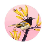 Load image into Gallery viewer, 🎨 Acuarela Intermedio ✨ Aves y Naturaleza con @ charlespaper · INICIA 6 Y 17 de MAYO
