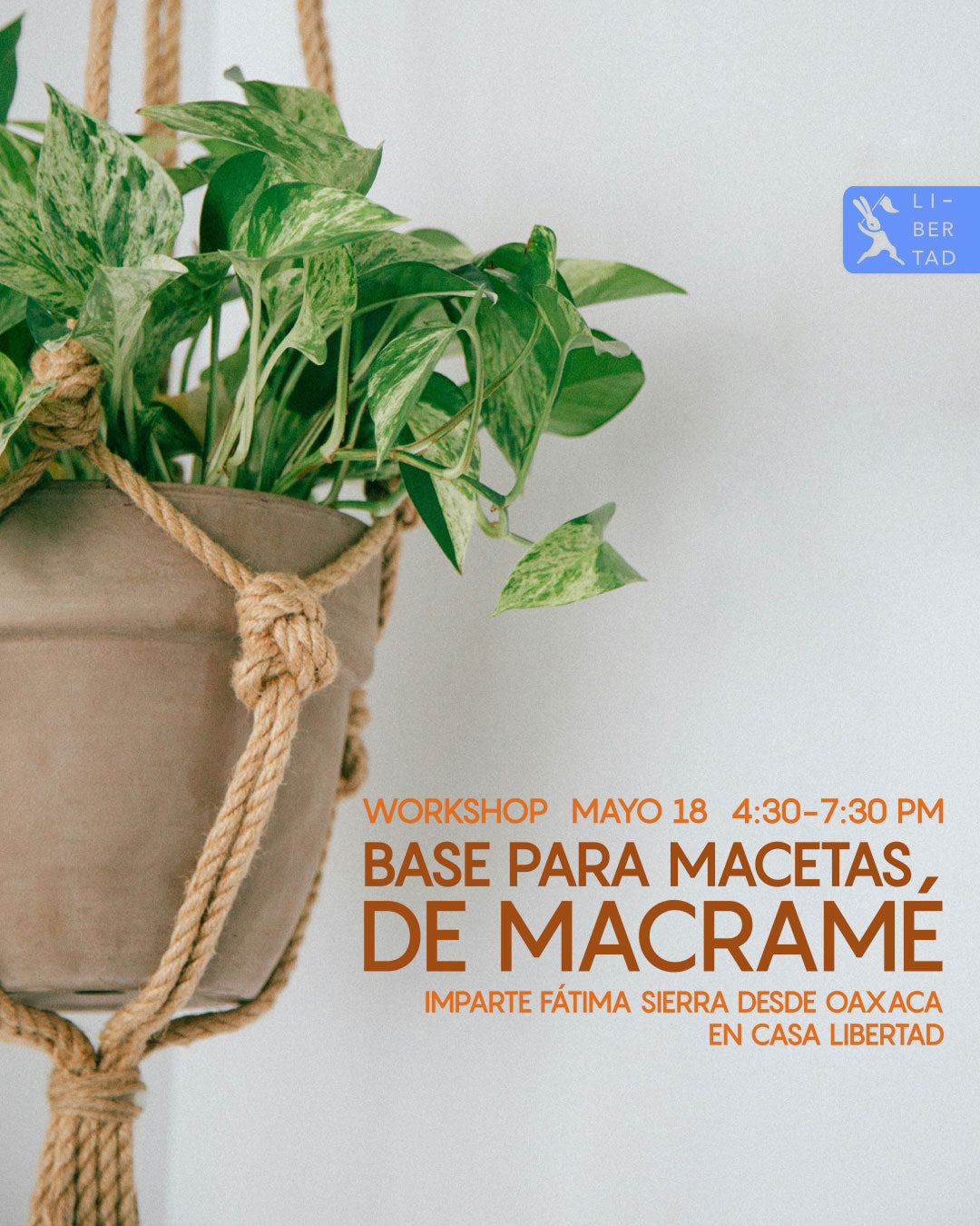 Workshop: Bases Para Macetas de Macramé · Un Sólo Día - 18 de Mayo