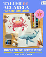 Load image into Gallery viewer, 🐋 Animales Marinos con Acuarela ✨ Ocean Vibes Only Intermedios con @ charlespaper · INICIA 30 de Septiembre
