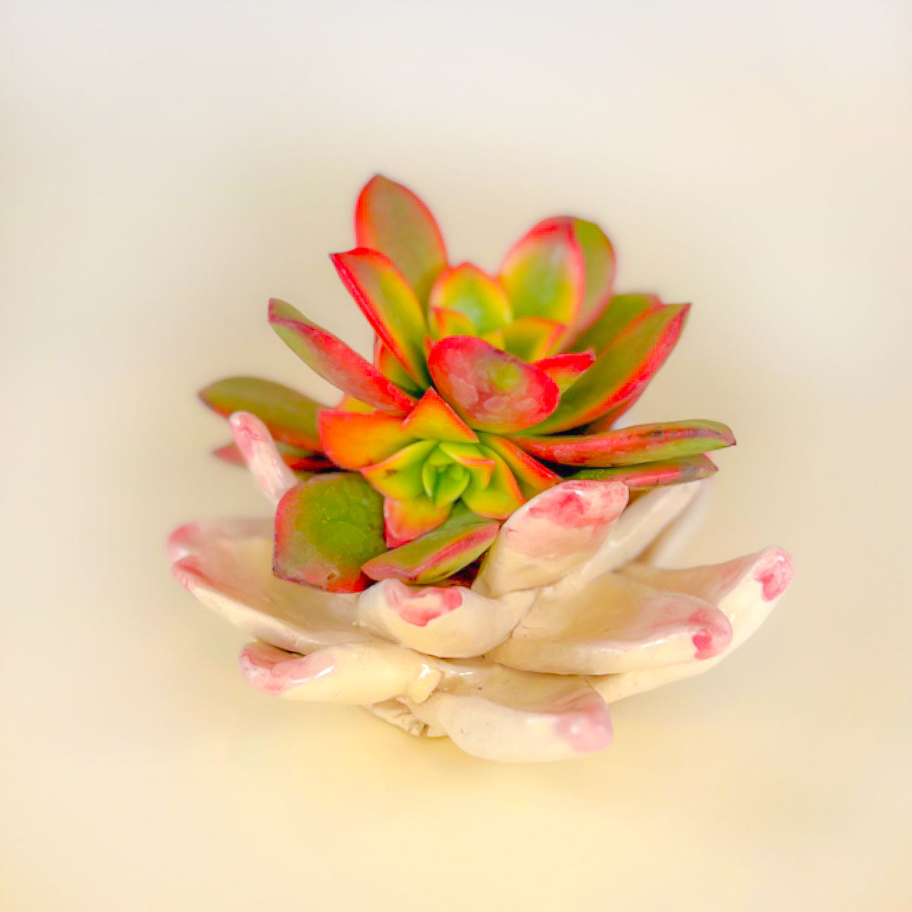 Portavela Flor De Loto