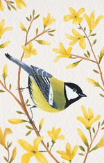 Load image into Gallery viewer, 🎨 Acuarela Intermedio ✨ Aves y Naturaleza con @ charlespaper · INICIA 6 Y 17 de MAYO
